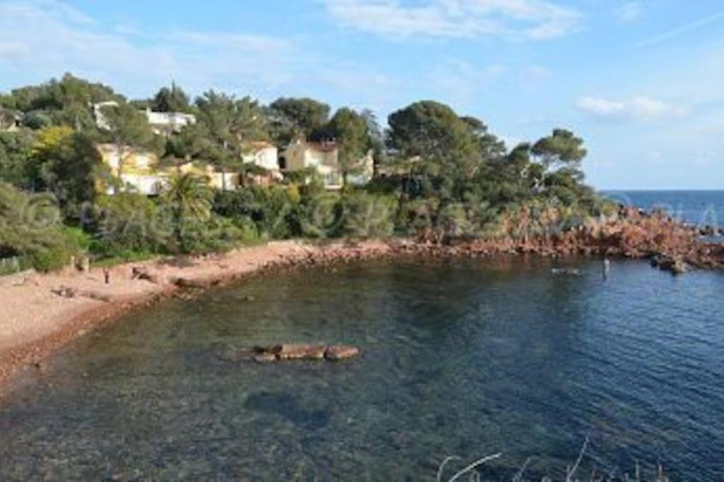 Appartement L'Evasion, Vue Mer, Plages A Pied Frejus Luaran gambar